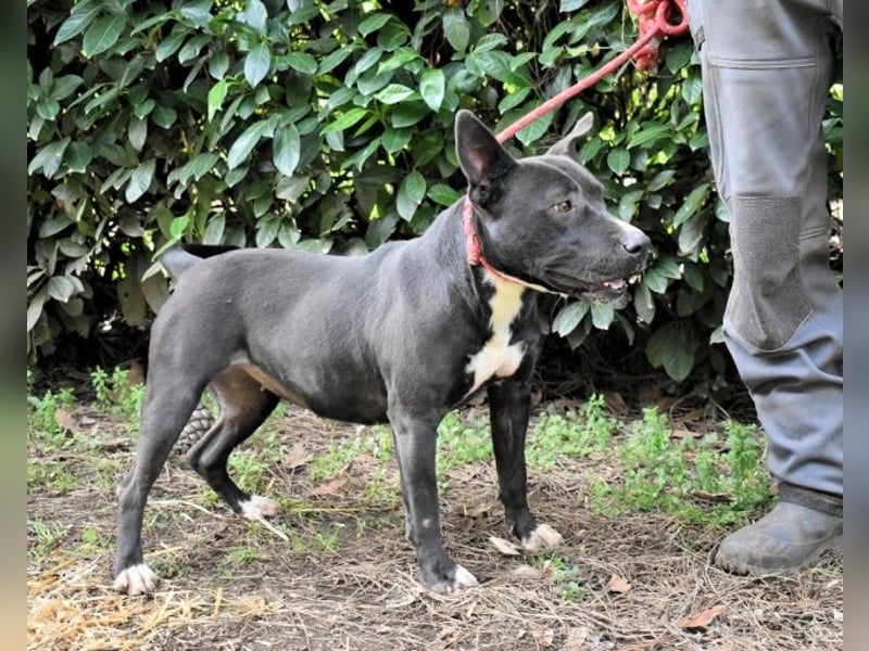 Deylora - Wenn sie fliegen könnte?