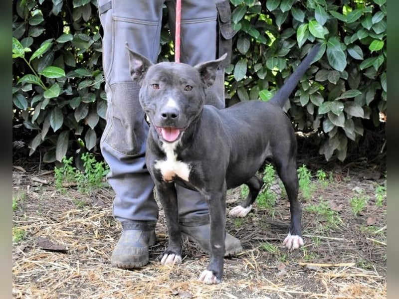 Deylora - Wenn sie fliegen könnte?