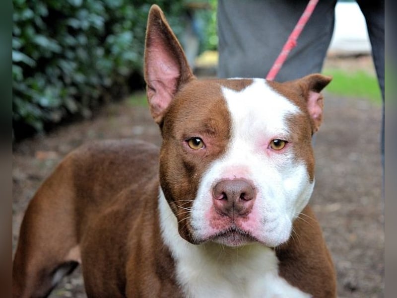 Jovienne - Menschenliebhaberin sucht Partner/in fürs Leben!