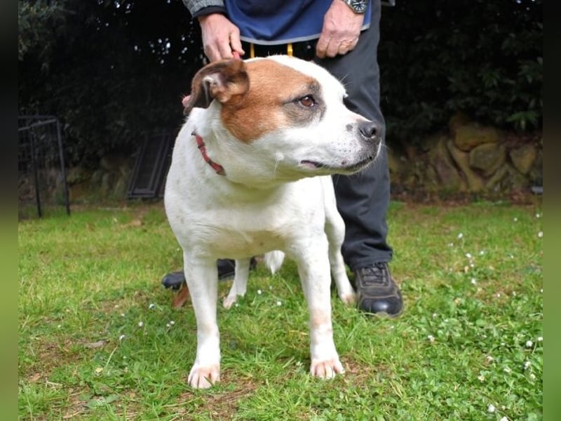 Abalyn - Piratin will Ihr Herz entern