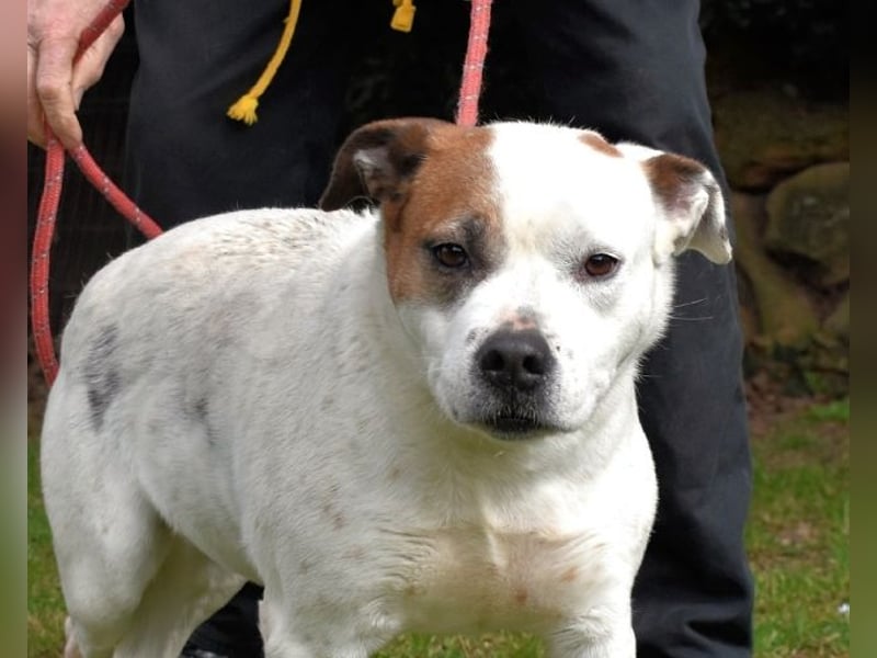 Abalyn - Piratin will Ihr Herz entern