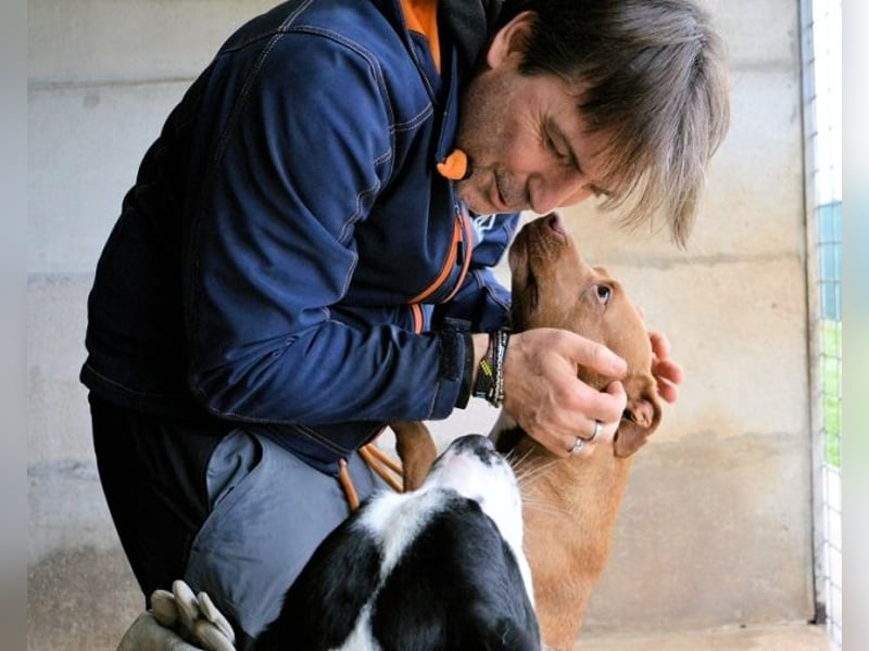 Aschette - SOS - Früher hat sie gelächelt