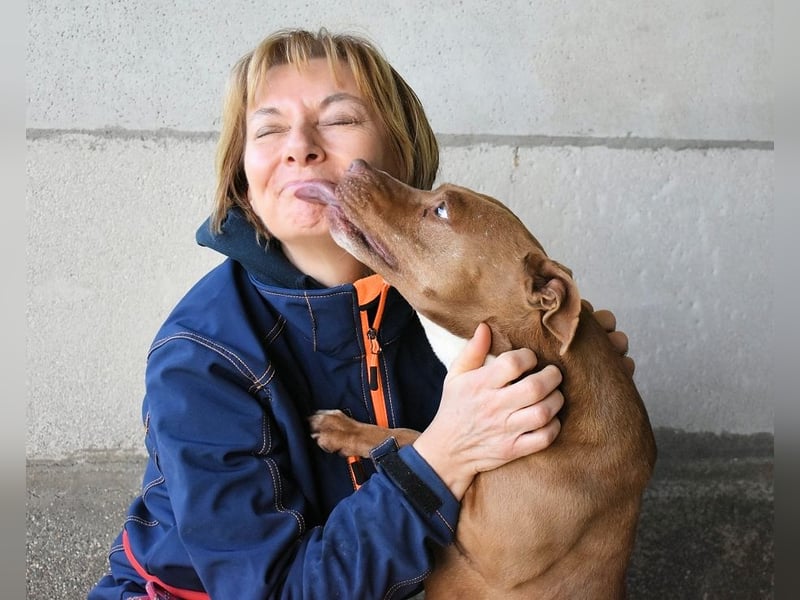 Aschette - SOS - Früher hat sie gelächelt