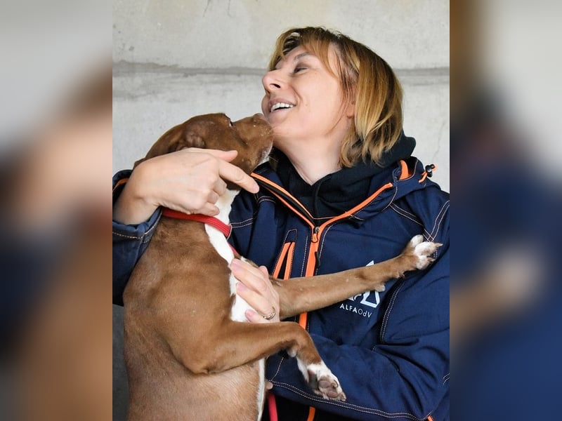 Aschette - SOS - Früher hat sie gelächelt