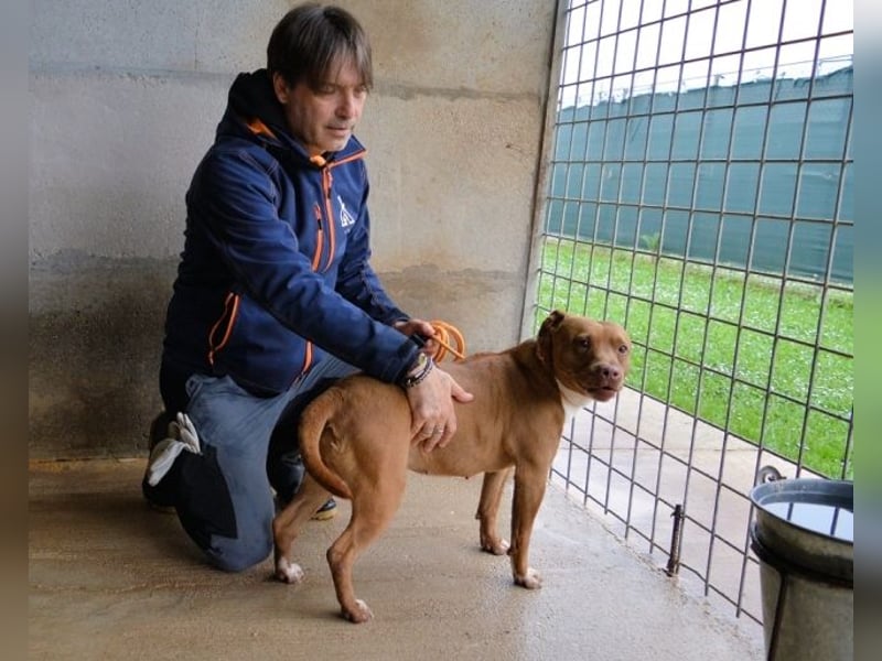 Aschette - weißt du, wie es früher war?