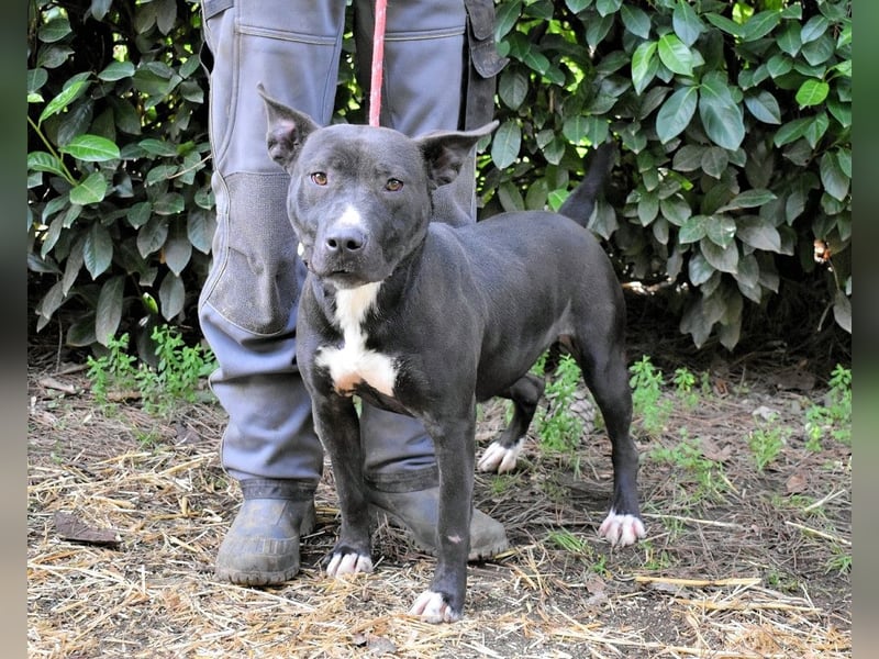 Deylora - Wenn sie fliegen könnte?