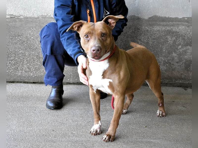 Aschette - SOS - Früher hat sie gelächelt