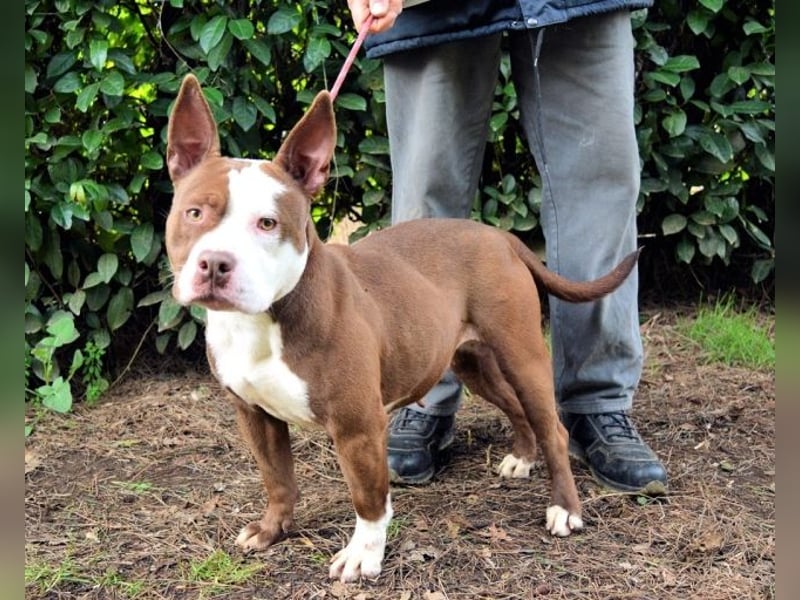 Jovienne - Menschenliebhaberin sucht Partner/in fürs Leben!