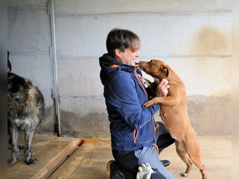 Aschette - SOS - Früher hat sie gelächelt