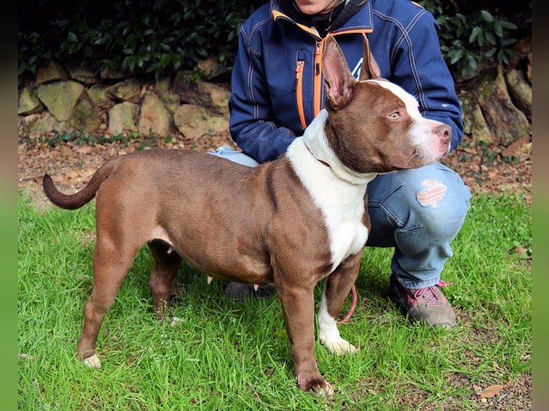 Jovienne - Menschenliebhaberin sucht Partner/in fürs Leben!