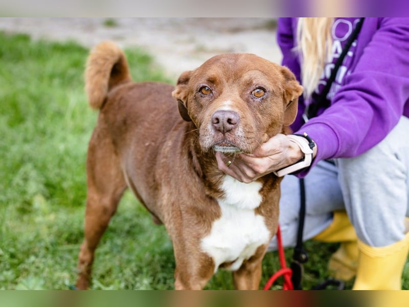 Cantinho da Milu ❤️ TOBY - ein sehr freundlicher Junge