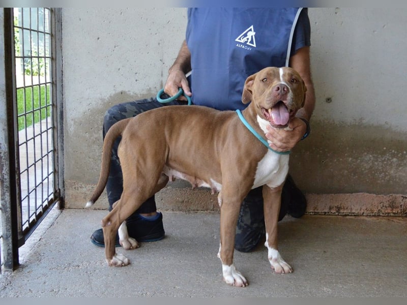 Olena - unser Sonnenschein!