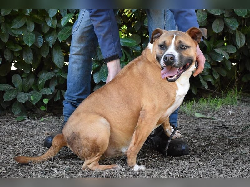 Ruben - Gastfreundschaft und Charme