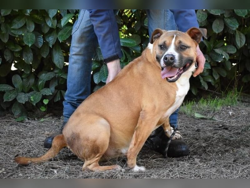 Ruben - Gastfreundschaft und Charme