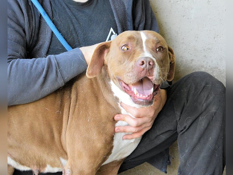 Olena - unser Sonnenschein!