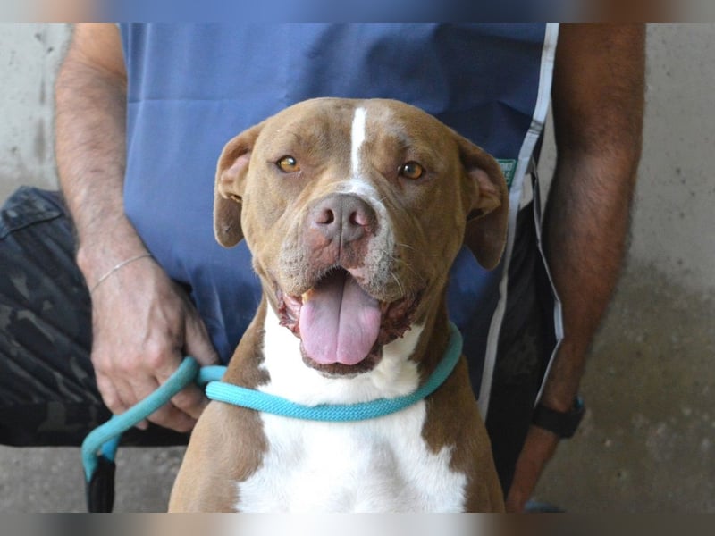 Olena - unser Sonnenschein!