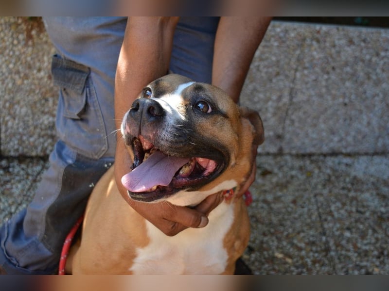 Ruben - Gastfreundschaft und Charme