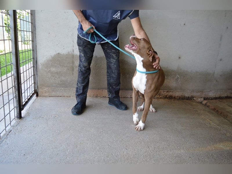 Olena - unser Sonnenschein!