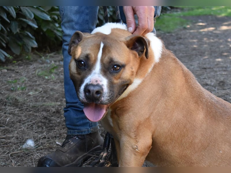 Ruben - Gastfreundschaft und Charme