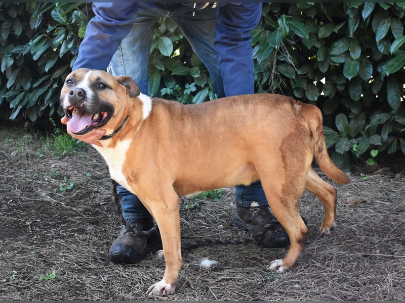 Ruben - Gastfreundschaft und Charme