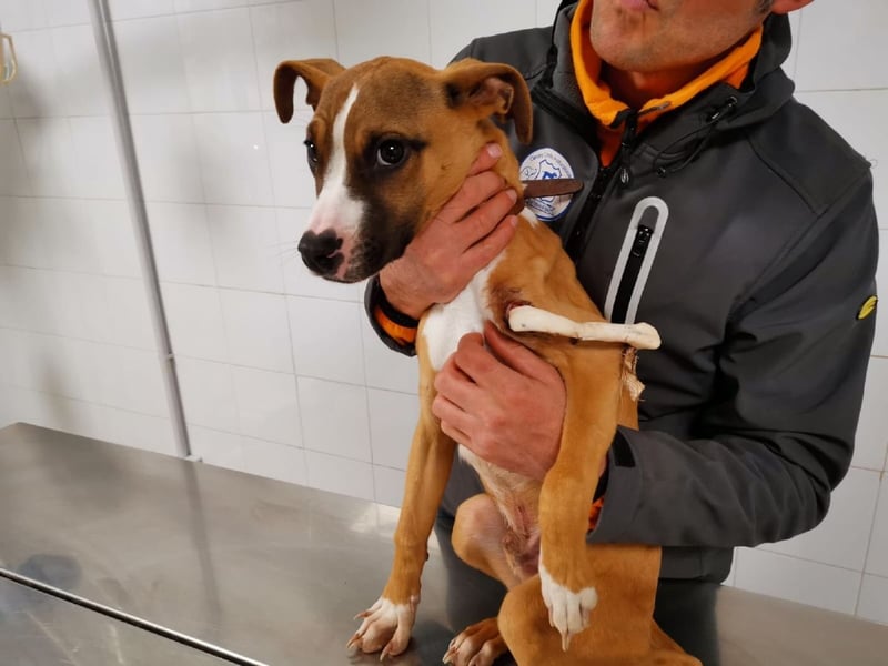 Ruben - Gastfreundschaft und Charme