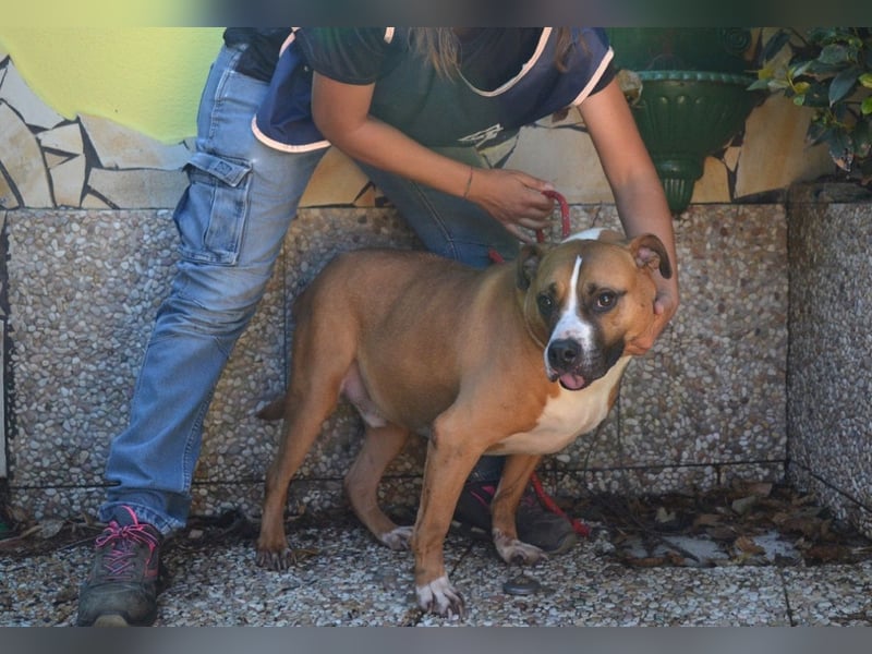 Ruben - Gastfreundschaft und Charme