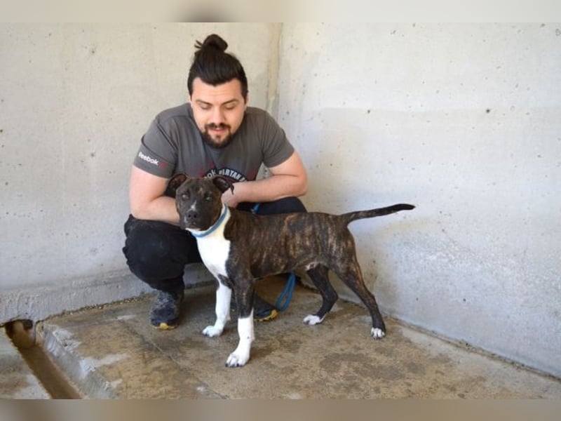 Aiko - Zwei Brüder auf der Suche nach Geborgenheit
