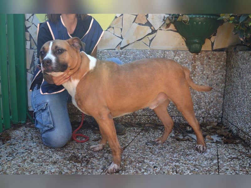 Ruben - Gastfreundschaft und Charme