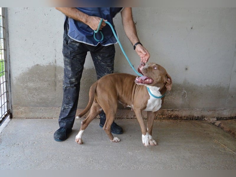 Olena - unser Sonnenschein!