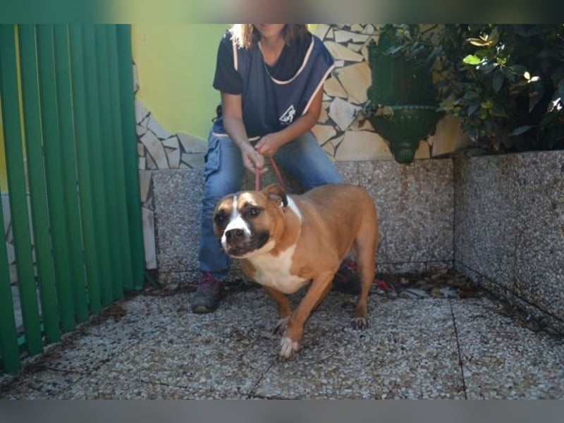 Ruben - Gastfreundschaft und Charme