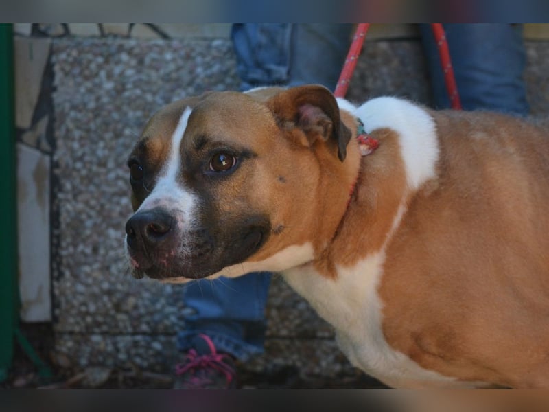 Ruben - Gastfreundschaft und Charme