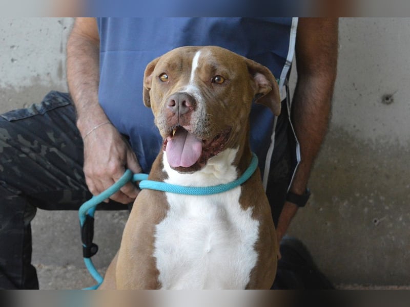 Olena - unser Sonnenschein!