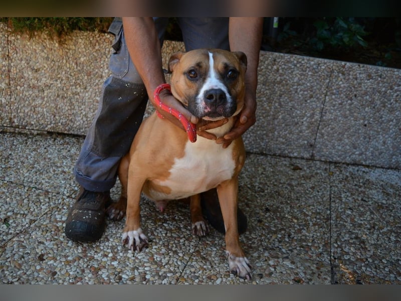 Ruben - Gastfreundschaft und Charme