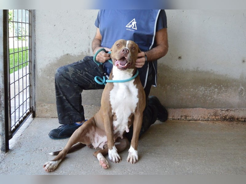 Olena - unser Sonnenschein!