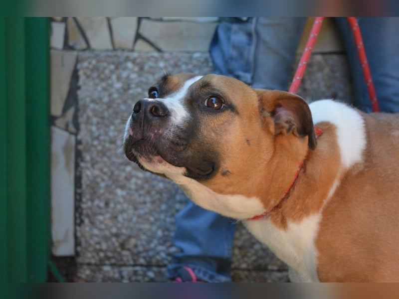 Ruben - Gastfreundschaft und Charme