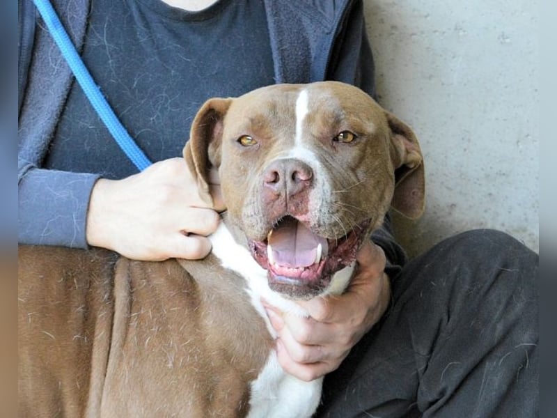 Olena - unser Sonnenschein!