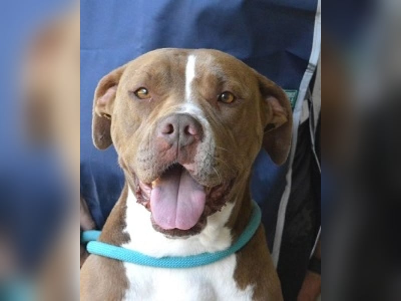 Olena - unser Sonnenschein!