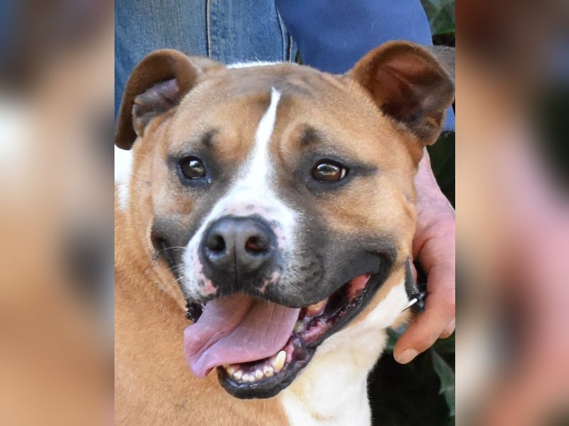 Ruben - Gastfreundschaft und Charme