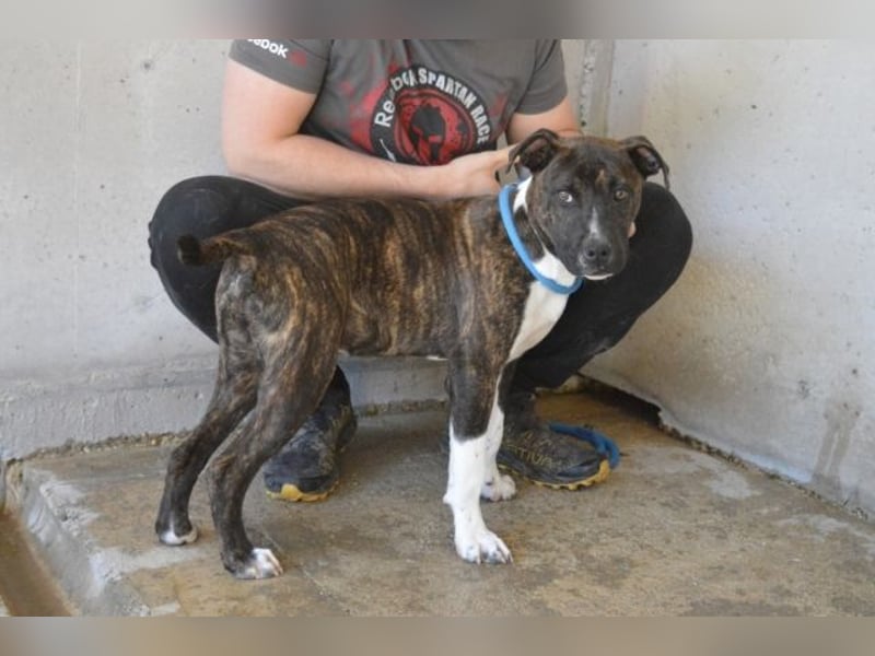 Aiko - Zwei Brüder auf der Suche nach Geborgenheit