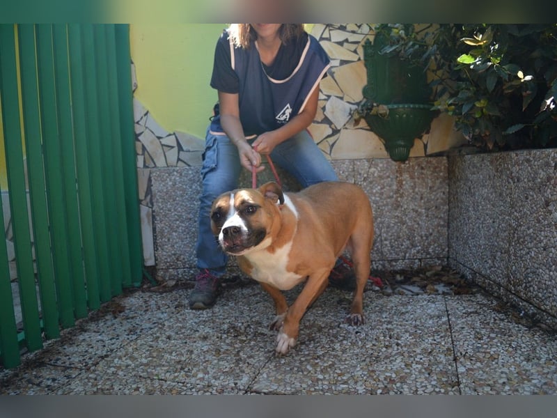 Ruben - Gastfreundschaft und Charme