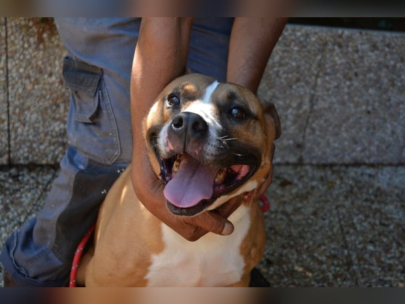 Ruben - Gastfreundschaft und Charme