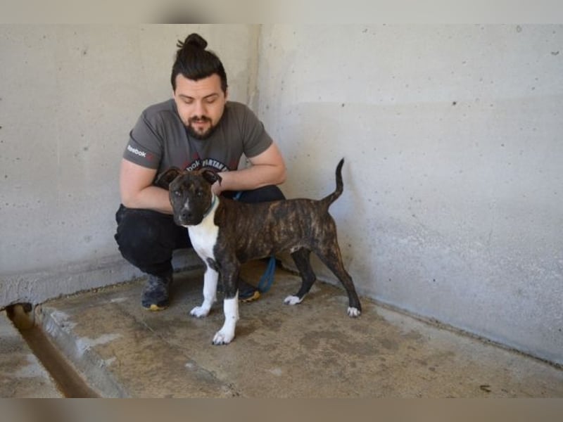 Aiko - Zwei Brüder auf der Suche nach Geborgenheit
