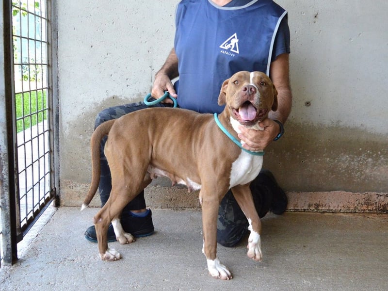 Olena - unser Sonnenschein!