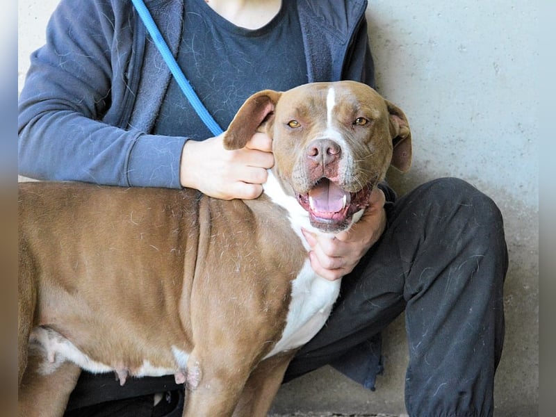 Olena - unser Sonnenschein!