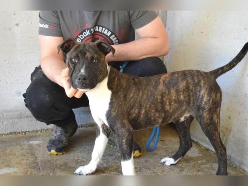 Aiko - Zwei Brüder auf der Suche nach Geborgenheit
