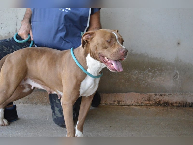 Olena - unser Sonnenschein!