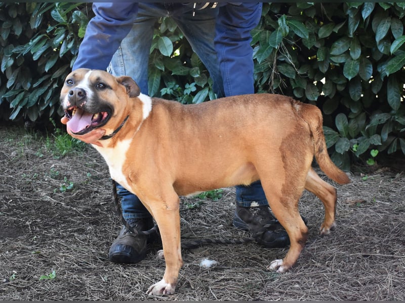 Ruben - Gastfreundschaft und Charme