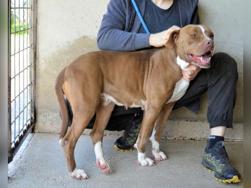 Olena - unser Sonnenschein!