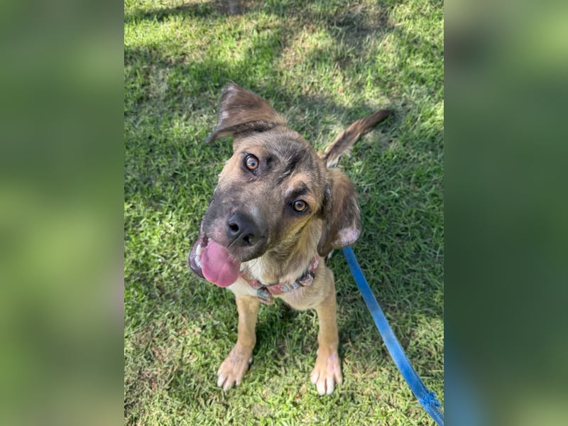 Luca: wer hat Lust, ihm das Leben zu zeigen?