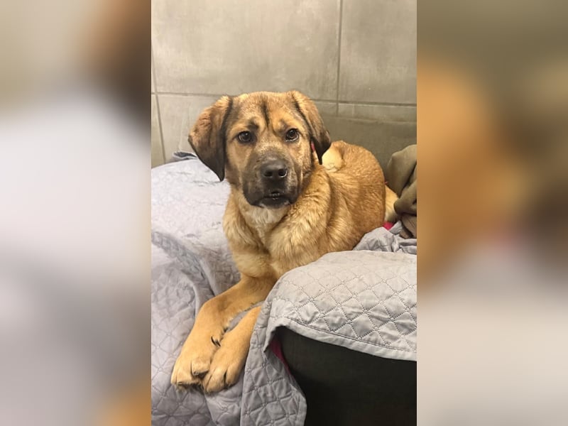 Luca: wer hat Lust, ihm das Leben zu zeigen?